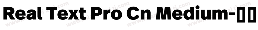 Real Text Pro Cn Medium字体转换